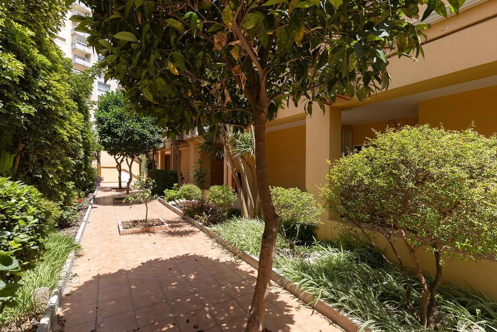 008 Plaza Ole Beachfront Apartment With Sea Views And Beach Access Benalmadena Spain